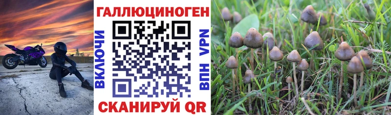 MEGA как войти  мориарти телеграм  Галлюциногенные грибы мицелий  Афипский 